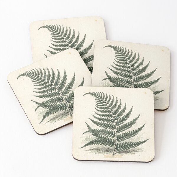 Item preview, Midnight Herbarium IV – Shadow Fern designed and sold by Roberta Calabrese.