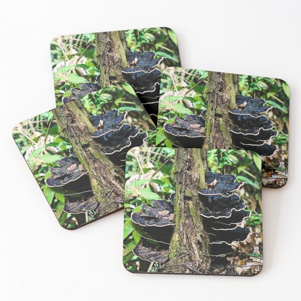 Item preview, Mycological detail of the Sumatran forest designed and sold by franck380.