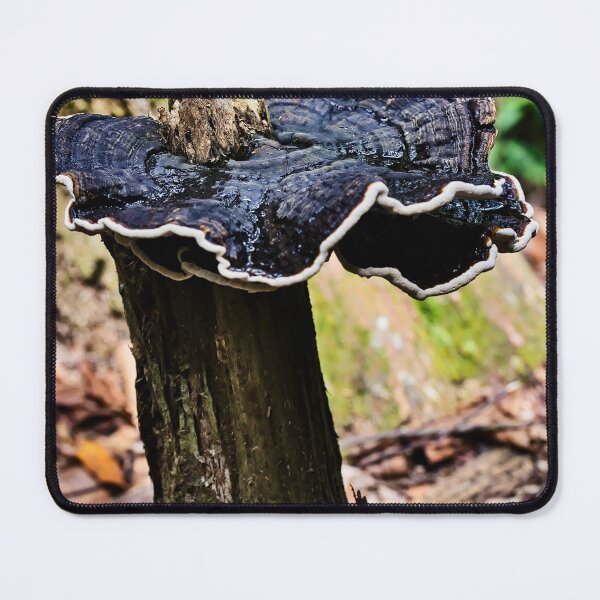 Item preview, Mycological detail of the Sumatran forest designed and sold by franck380.