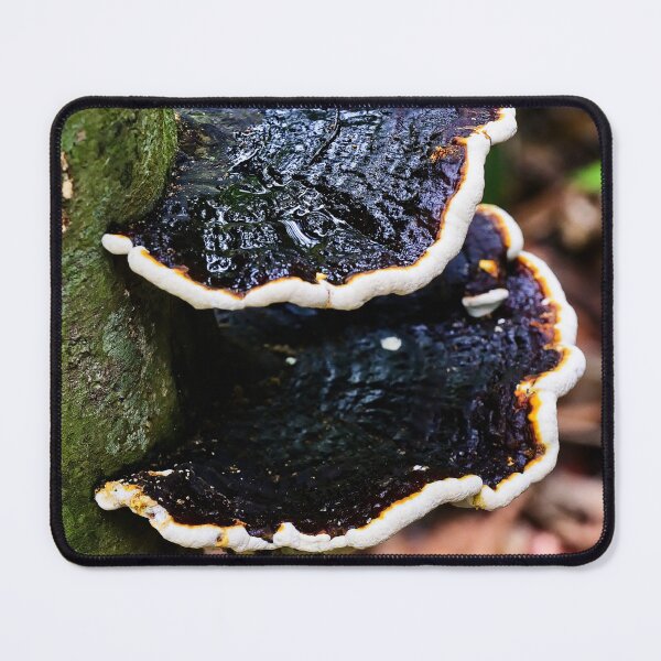 Item preview, Mycological detail of the Sumatran forest designed and sold by franck380.