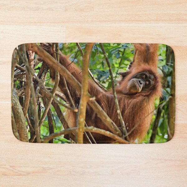 Item preview, Red orangutan hanging from a branch designed and sold by franck380.