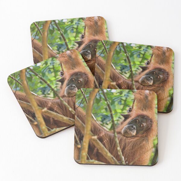 Item preview, Red orangutan hanging from a branch designed and sold by franck380.