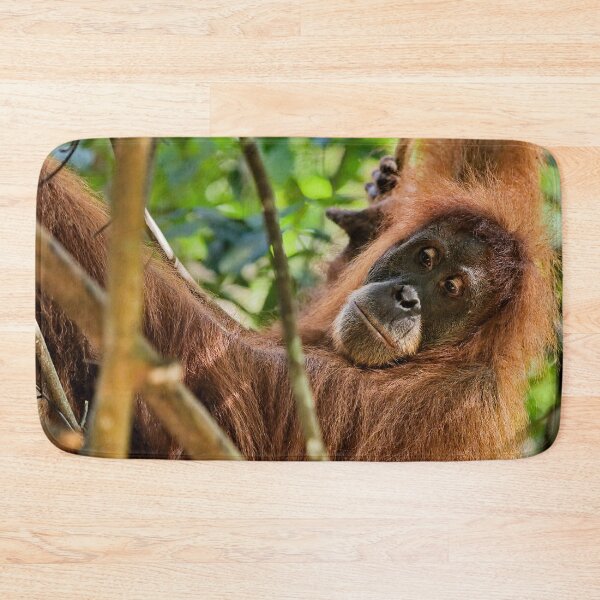 Item preview, Red orangutan hanging from a branch designed and sold by franck380.