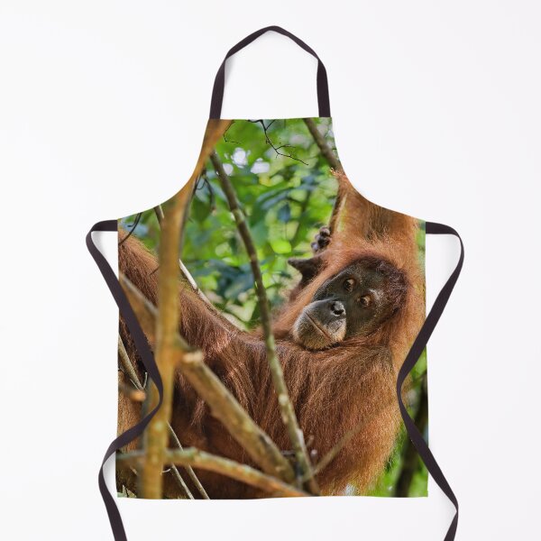 Item preview, Red orangutan hanging from a branch designed and sold by franck380.