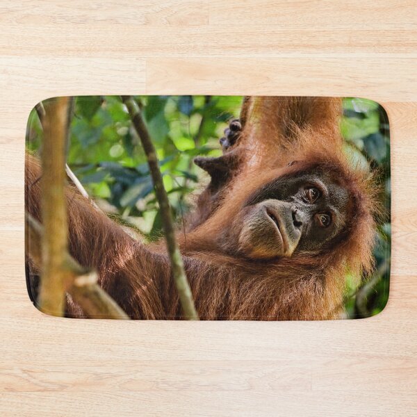 Item preview, Red orangutan hanging from a branch designed and sold by franck380.