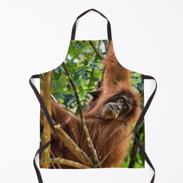 Item preview, Red orangutan hanging from a branch designed and sold by franck380.