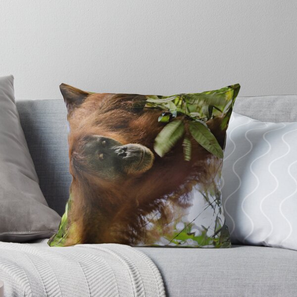 Item preview, Red orangutan hanging from a branch designed and sold by franck380.