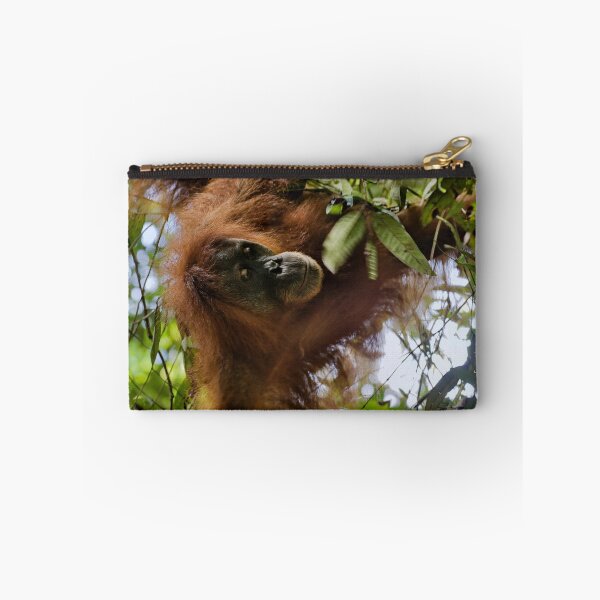Item preview, Red orangutan hanging from a branch designed and sold by franck380.