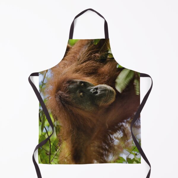 Item preview, Red orangutan hanging from a branch designed and sold by franck380.