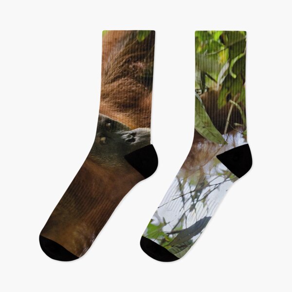 Item preview, Red orangutan hanging from a branch designed and sold by franck380.