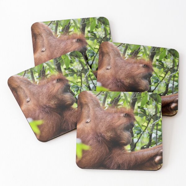 Item preview, Red orangutan hanging from a branch designed and sold by franck380.