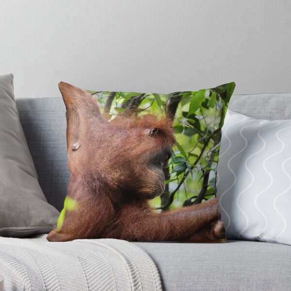 Item preview, Red orangutan hanging from a branch designed and sold by franck380.