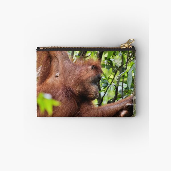 Item preview, Red orangutan hanging from a branch designed and sold by franck380.