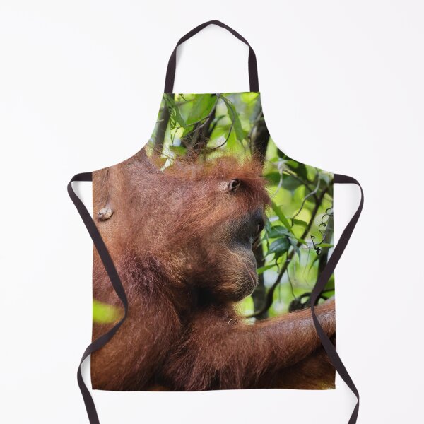 Item preview, Red orangutan hanging from a branch designed and sold by franck380.