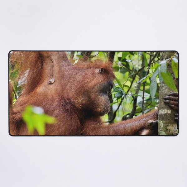 Item preview, Red orangutan hanging from a branch designed and sold by franck380.