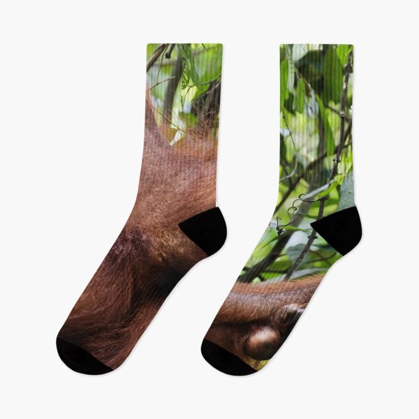 Item preview, Red orangutan hanging from a branch designed and sold by franck380.