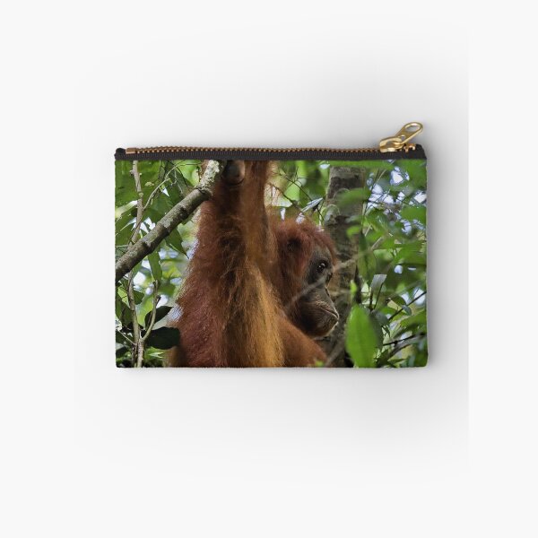 Item preview, Red orangutan hanging from a branch designed and sold by franck380.