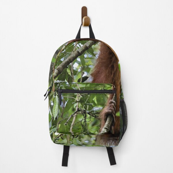 Item preview, Red orangutan hanging from a branch designed and sold by franck380.