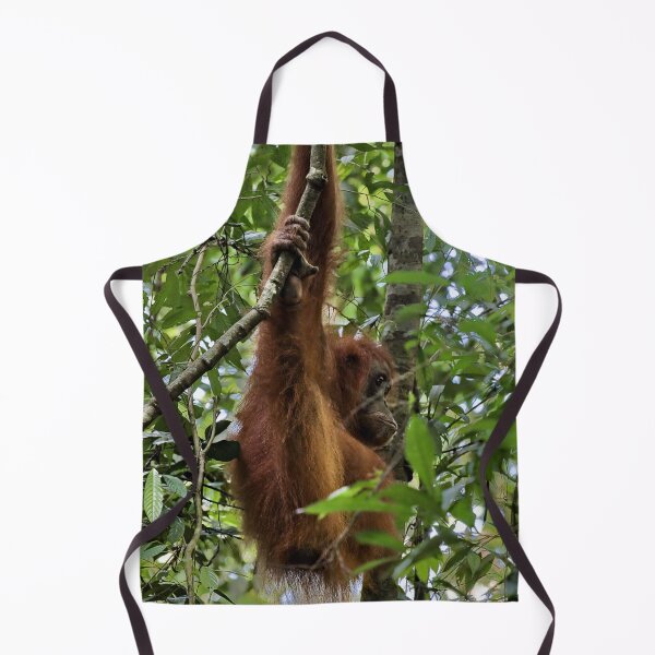 Item preview, Red orangutan hanging from a branch designed and sold by franck380.
