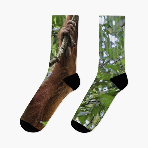 Item preview, Red orangutan hanging from a branch designed and sold by franck380.
