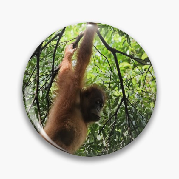 Item preview, Agile orangutan in the heart of the canopy designed and sold by franck380.