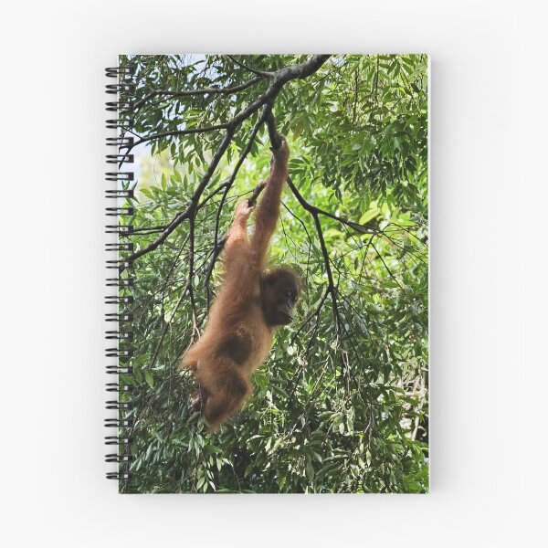 Item preview, Agile orangutan in the heart of the canopy designed and sold by franck380.