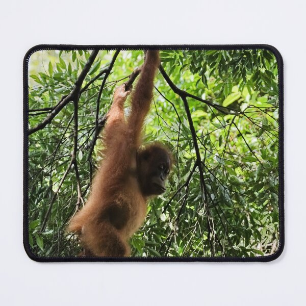 Item preview, Agile orangutan in the heart of the canopy designed and sold by franck380.