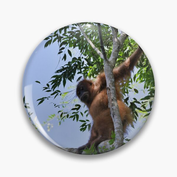 Item preview, Agile orangutan in the heart of the canopy designed and sold by franck380.