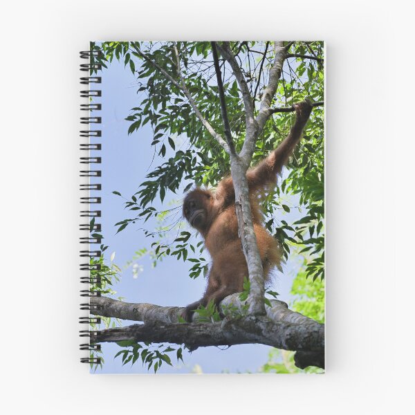 Item preview, Agile orangutan in the heart of the canopy designed and sold by franck380.