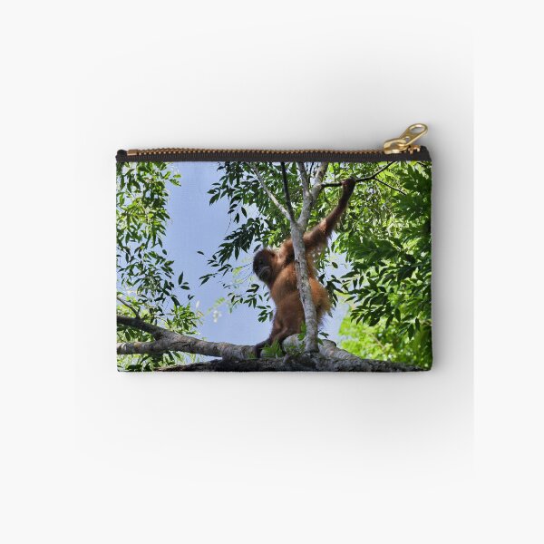 Item preview, Agile orangutan in the heart of the canopy designed and sold by franck380.