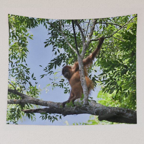 Item preview, Agile orangutan in the heart of the canopy designed and sold by franck380.