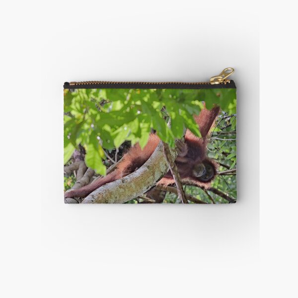 Item preview, Orangutan hanging from a large branch designed and sold by franck380.