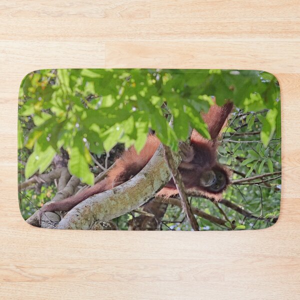 Item preview, Orangutan hanging from a large branch designed and sold by franck380.