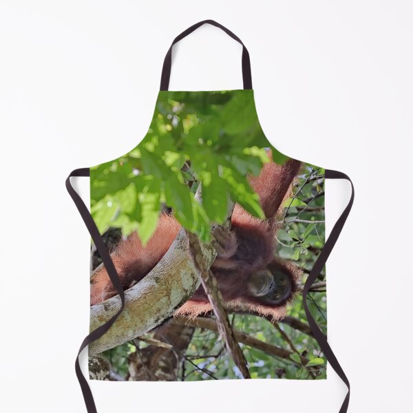 Item preview, Orangutan hanging from a large branch designed and sold by franck380.