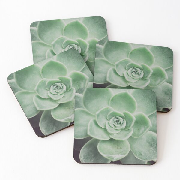 Item preview, Minimalist Rock Rose Succulent Photo designed and sold by ReneJordaan.