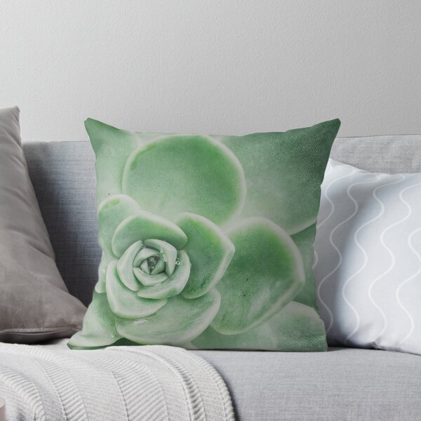 Item preview, Minimalist Rock Rose Succulent Photo designed and sold by ReneJordaan.