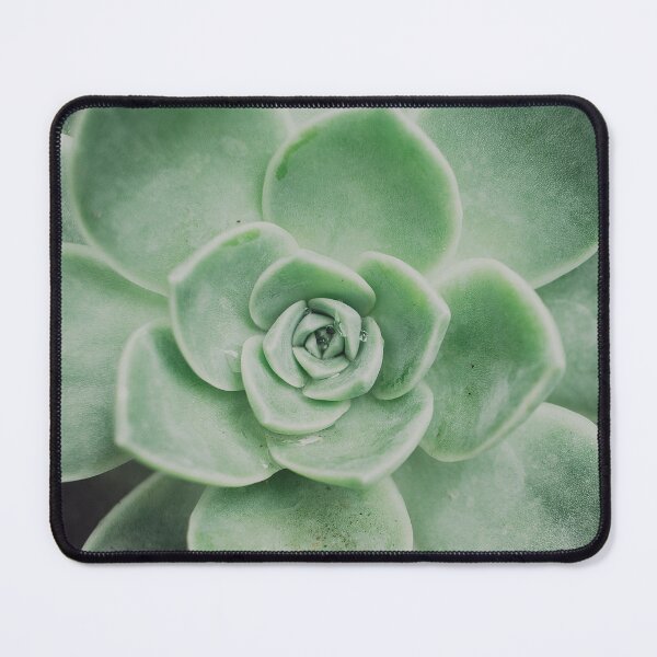 Item preview, Minimalist Rock Rose Succulent Photo designed and sold by ReneJordaan.