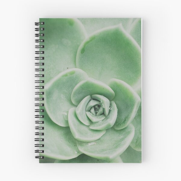 Item preview, Minimalist Rock Rose Succulent Photo designed and sold by ReneJordaan.