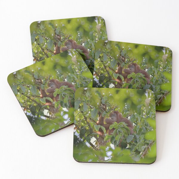 Item preview, Wild orangutan eating in a tree designed and sold by franck380.