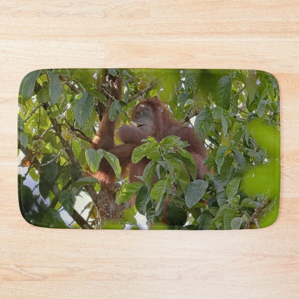 Item preview, Wild orangutan eating in a tree designed and sold by franck380.