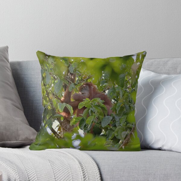 Item preview, Wild orangutan eating in a tree designed and sold by franck380.