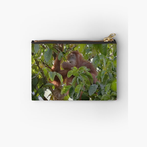 Item preview, Wild orangutan eating in a tree designed and sold by franck380.