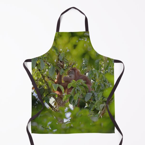 Item preview, Wild orangutan eating in a tree designed and sold by franck380.