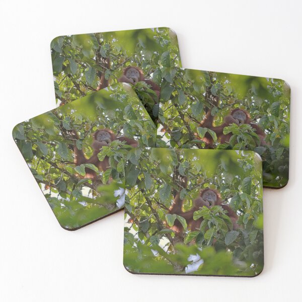 Item preview, Wild orangutan eating in a tree designed and sold by franck380.