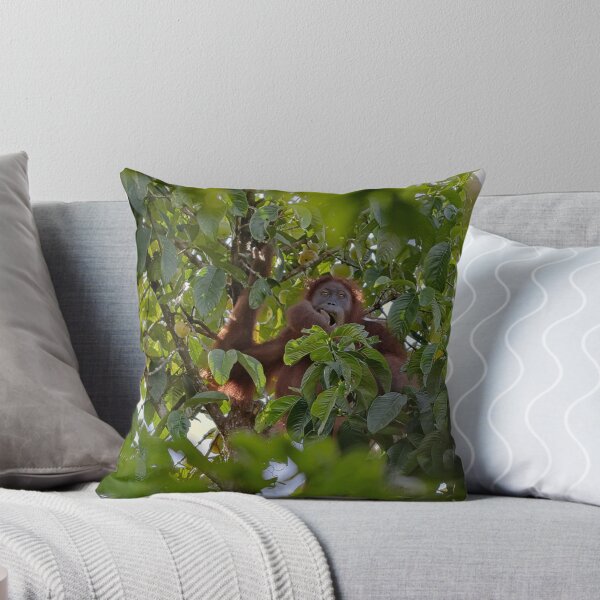Item preview, Wild orangutan eating in a tree designed and sold by franck380.