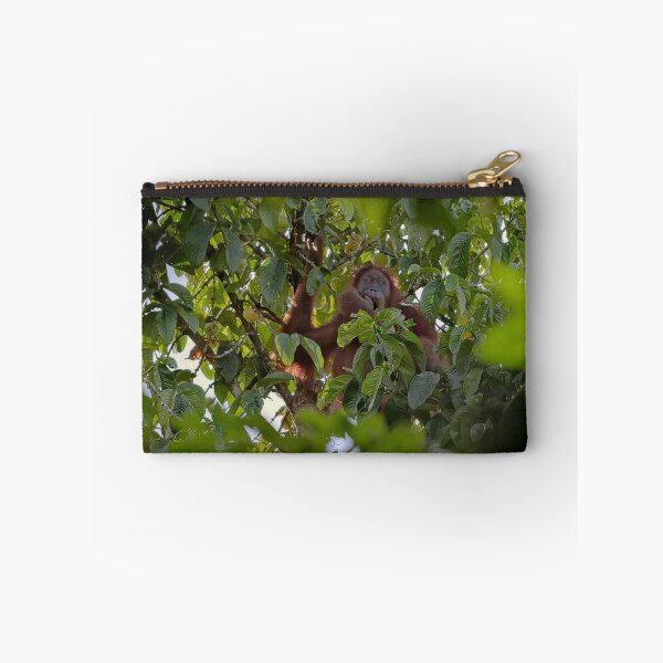 Item preview, Wild orangutan eating in a tree designed and sold by franck380.