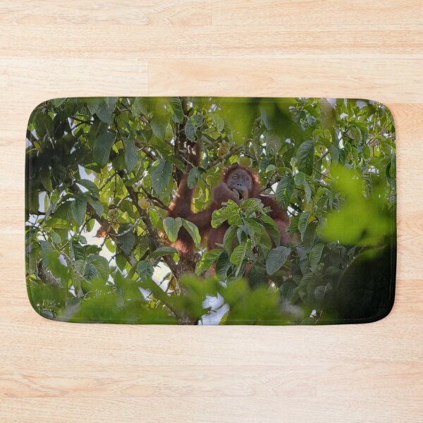 Item preview, Wild orangutan eating in a tree designed and sold by franck380.