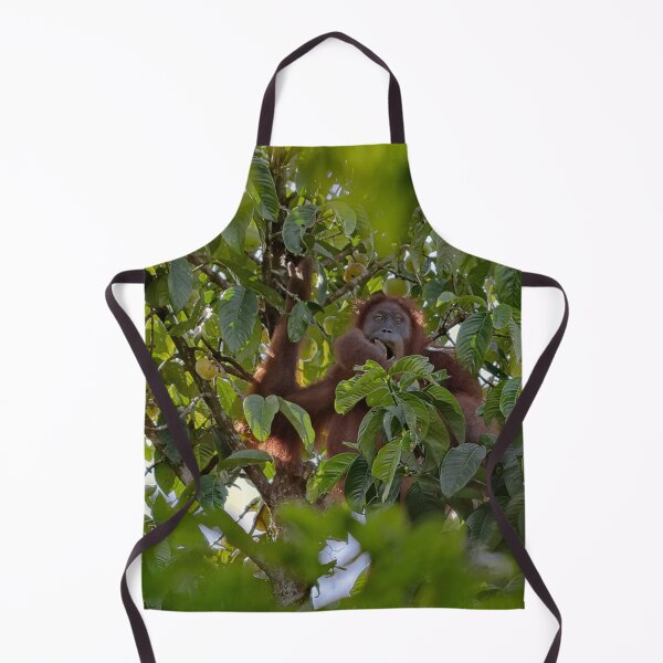 Item preview, Wild orangutan eating in a tree designed and sold by franck380.