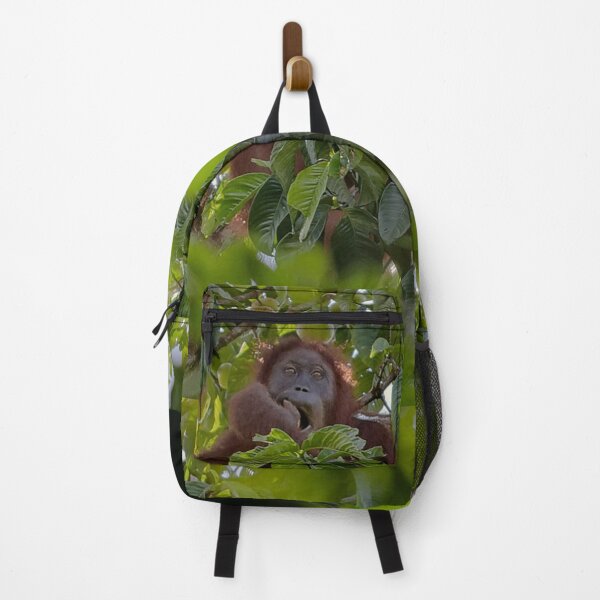 Item preview, Wild orangutan eating in a tree designed and sold by franck380.