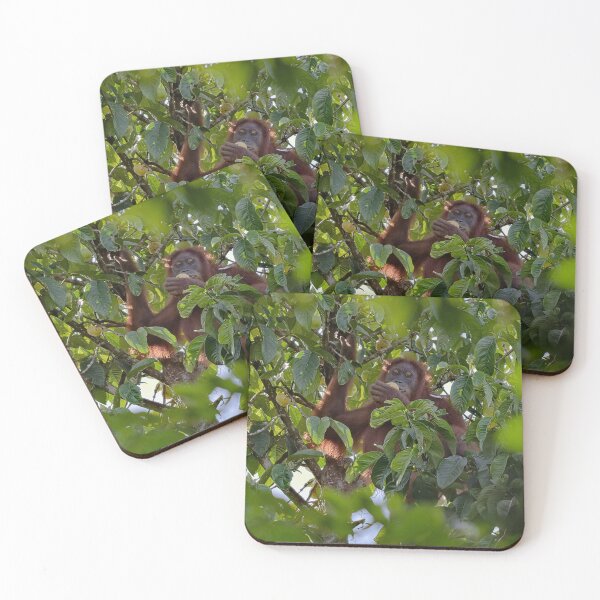 Item preview, Wild orangutan eating in a tree designed and sold by franck380.